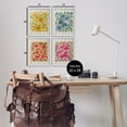 thumbnail image 3 of Stupell Industries Various Flower Market Blooms Floral Painting White Framed Art Print Wall Art, 11 x 14, Set of 4, 3 of 8
