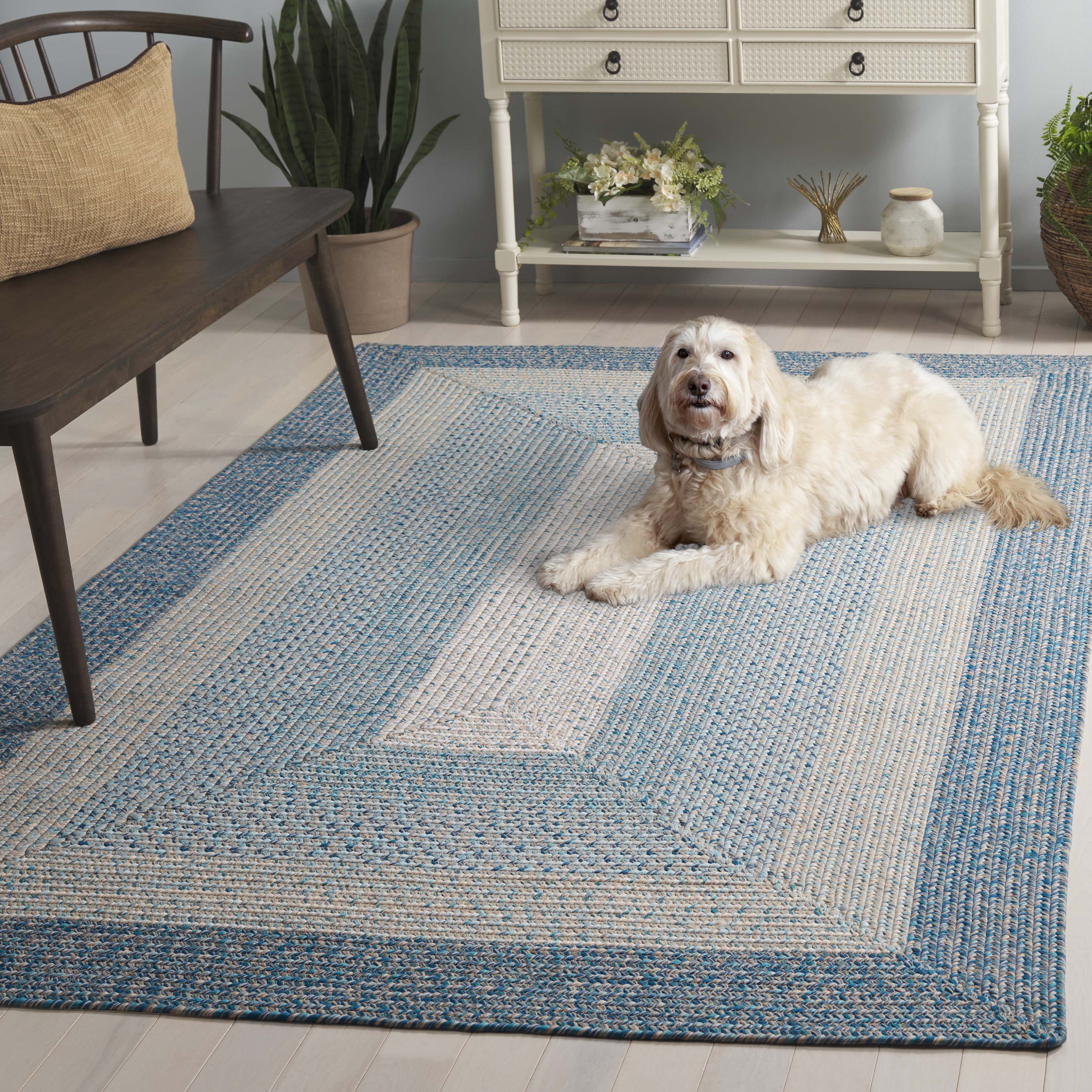 Safavieh Braided 5'-0" x 5'-0" Square Hand Woven Rug in Blue / Aqua