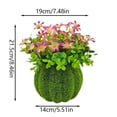 thumbnail image 3 of BotaniNest Indoor Outdoor Desktop Greenery For Home, 3 of 5