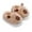 Coffee, variant on WhouRiu Girls' Slippers Lined Capybara Fuzzy Warm Shoes Children Winter Indoor Outdoor Scuff Slippers Brown Toddler8