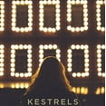 thumbnail image 2 of Kestrels, 2 of 2