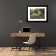 thumbnail image 4 of Ernestine von Kirchsberg 24x18 Black Modern Framed Museum Art Print Titled - Waldbach in the Sunshine, 4 of 5