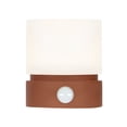 thumbnail image 1 of Night Light Touchable Night Light Setting Function Cylindrical LED Desk Lamp ABS HIPS Silicone Material for Bedroom Study Living Room Night Use, 1 of 1