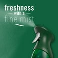 thumbnail image 4 of Febreze Air Mist, Odor-Fighting Air Freshener, White Pine & Juniper Berry, 8.8 oz. Aerosol, Pack of 2, 4 of 12