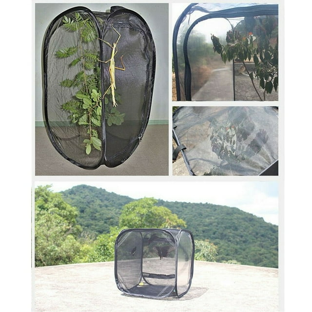 Foldable Mesh mantis Cage For Insect/butterfly/Praying Feeding Housing Enclosure