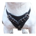 thumbnail image 3 of Genuine Leather Dog Harness, 37"-45" Chest, 1" Wide Straps. XXLarge. Newfoundland, Great Dane, 3 of 3