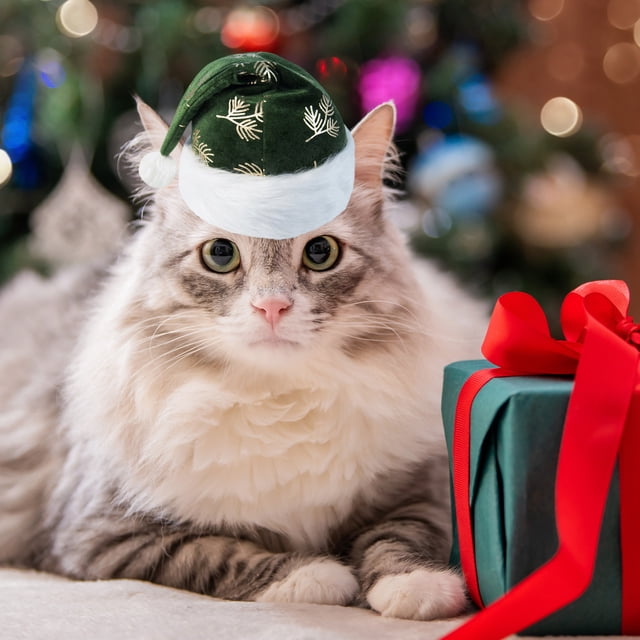 Gorro navideño con estampado verde para adultos y niños, gorro navideño para mascotas, regalo navideño