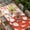 Red, variant on Japanese Rabbits Table Cloths for 6 Foot Rectangle Tables, Vintage Orange Red Plaid Farmhouse Patio Waterproof Elastic Fitted Tablecloths, Washable Rectangular Table Cover for Camping