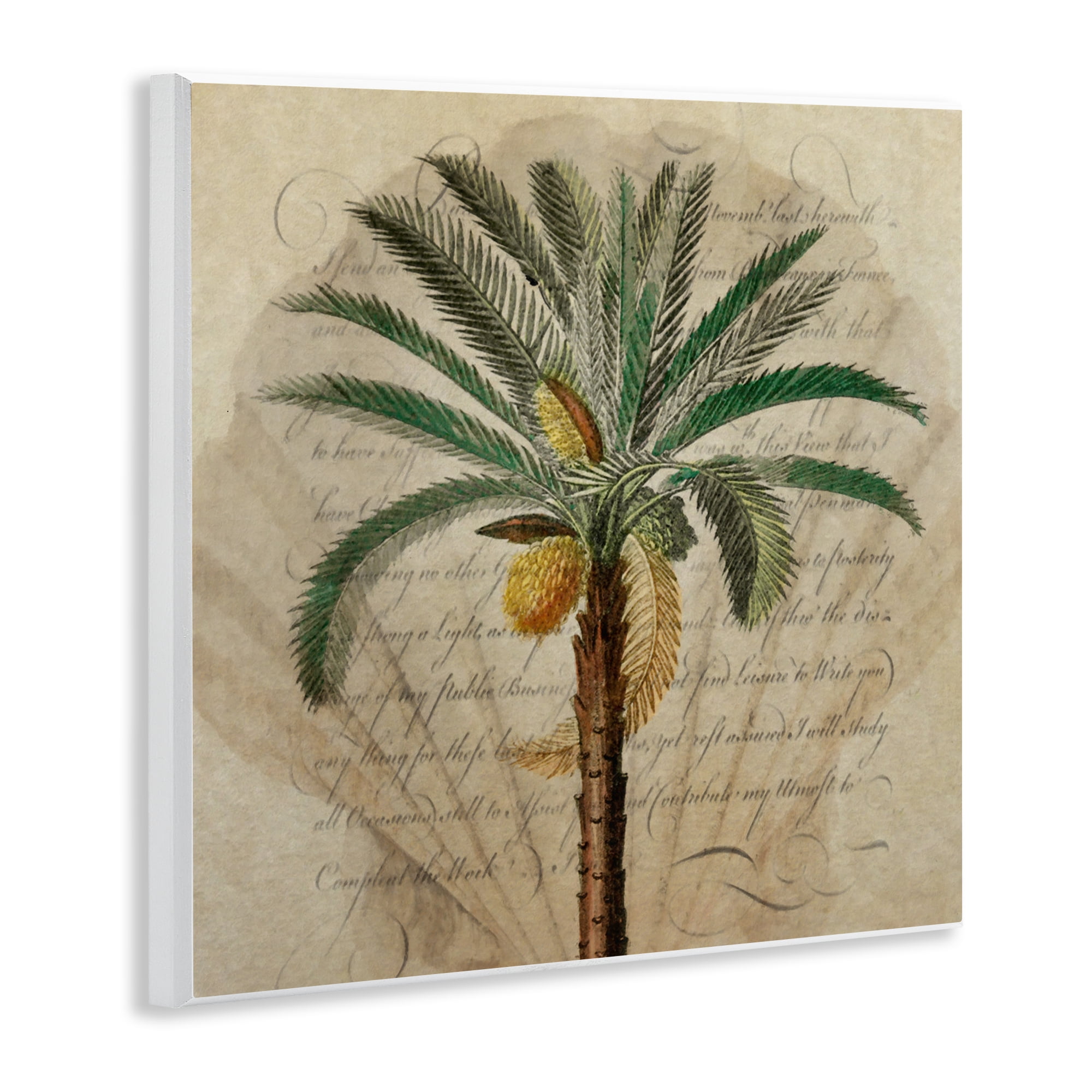 Stupell Industries Vintage Subdued Palm Wall Plaque Art, design by Steve Hunziker