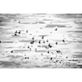 thumbnail image 4 of Birds in Flight Painting Print on Wrapped Canvas, 4 of 4
