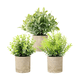 thumbnail image 1 of "3 Pcs Plantas Artificiales Macetas Decorativas Bonsai Hogar Lab.G Verde ", 1 of 5