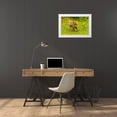 thumbnail image 3 of Jaynes Gallery 18x13 White Modern Wood Framed Museum Art Print Titled - Minnesota-Pine County Coyote pup playing with stick, 3 of 4