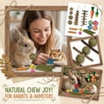 thumbnail image 2 of Wood Small Pet Chew Toy Set for Rabbits and Hamsters, Natural Bark Teeth Cleaning Kit for Bunny, Chinchilla, Crate Enrichment Items, Rodent Dental Health Set, 2 of 7