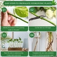 thumbnail image 6 of Plant Propagation Stations Glass Vase Station, Tabletop and Wall Hanging Glass Planter Propagation Vase with 6 Glass Test Tubes for Propagating Hydroponic Plants Home Office Decor, 6 of 11