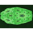 thumbnail image 1 of Ahgly Tapis Rectangulaire Lavable en Machine Intérieur Transitionnel Vert Forêt Foncé, 5 Pieds x 7 Pieds, 1 of 7