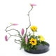 thumbnail image 3 of 2 Piezas De Plástico Ikebana Suiban Florero Bonsai Contenedor Negro 23 / 28cm Sunnimix Jarrón japonés ikebana, 3 of 8