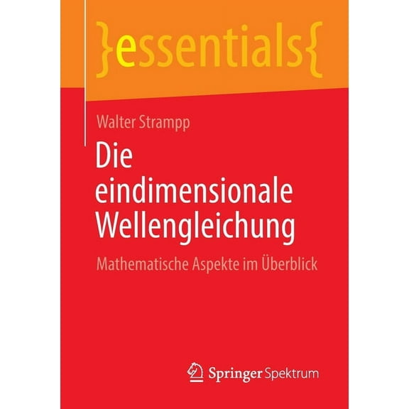 Essentials Die Eindimensionale Wellengleichung: Mathematische Aspekte Im Ãberblick, (Paperback)