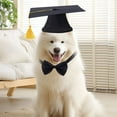 thumbnail image 3 of Pet Graduation Cap with Bow Tie and Yellow Tassel Dog Cat Accessory for Small Animals Photo Prop Holiday Outfit, 3 of 6