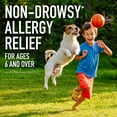 thumbnail image 3 of Equate Loratadine Orally Disintegrating Tablets, 10 mg, 24-Hour Allergy Medicine, Antihistamine, Melts in Your Mouth, for Ages 6 and up, 10 Count, 3 of 8