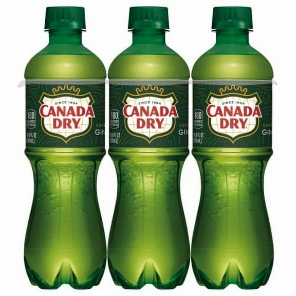 2X-Canada Dry Ginger Ale Soda Bottles - 16.9 fl oz - 6 pk