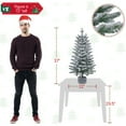 Alden Design 3ft Prelit Flocked Artificial Christmas Tree with Stand