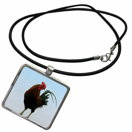 Philippines Necklace 3dRose Rooster, Banaue, Ifugao Province, Philippines - AS29 KSU0043 - Keren Su - Necklace with Pendant (ncl_132901_1) ()
