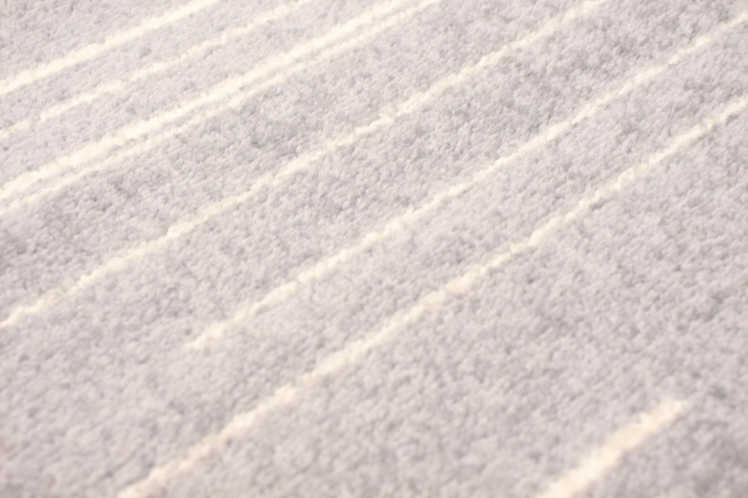 ECARPET Striped Area Rug