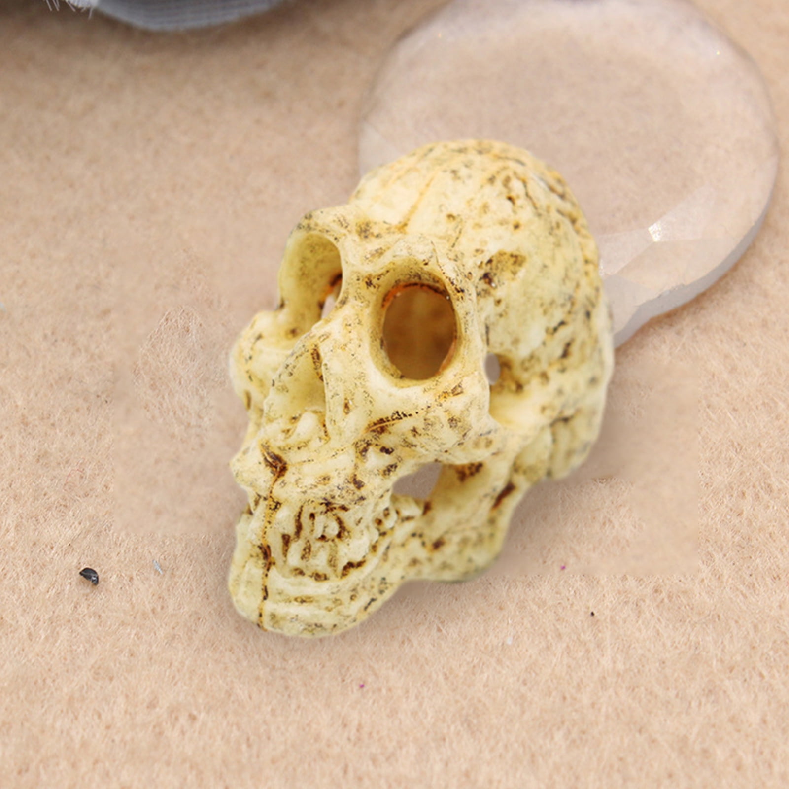 FaLX Skull Figurine Replica - Anthropoid Gazelle Crocodile