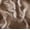 Cream, variant on Scoop Women's Faux Fur Boots