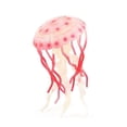 thumbnail image 3 of 3 pcs toy jellyfish toy doll jellyfish decoration creative gift, 3 of 5