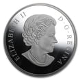 thumbnail image 2 of 2015 Canada Silver 10 oz Proof Einstein Theory of Relativity, 2 of 4