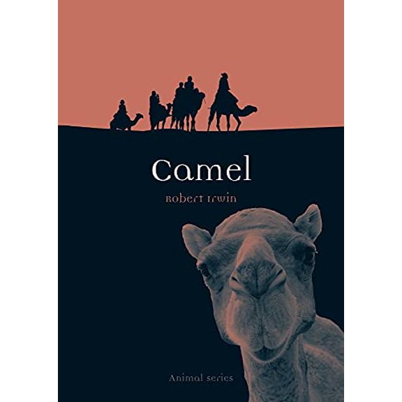 Pre-Owned Camel (Paperback) 1861896492 9781861896490