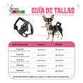 thumbnail image 4 of Pechera De Piel Para Perro Chihuahua Gato O Similar Talla #2, 4 of 4