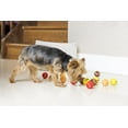 thumbnail image 5 of Midlee Thanksgiving Gobble Dog Tennis Ball Toy (Mini) - Set of 12, 5 of 6
