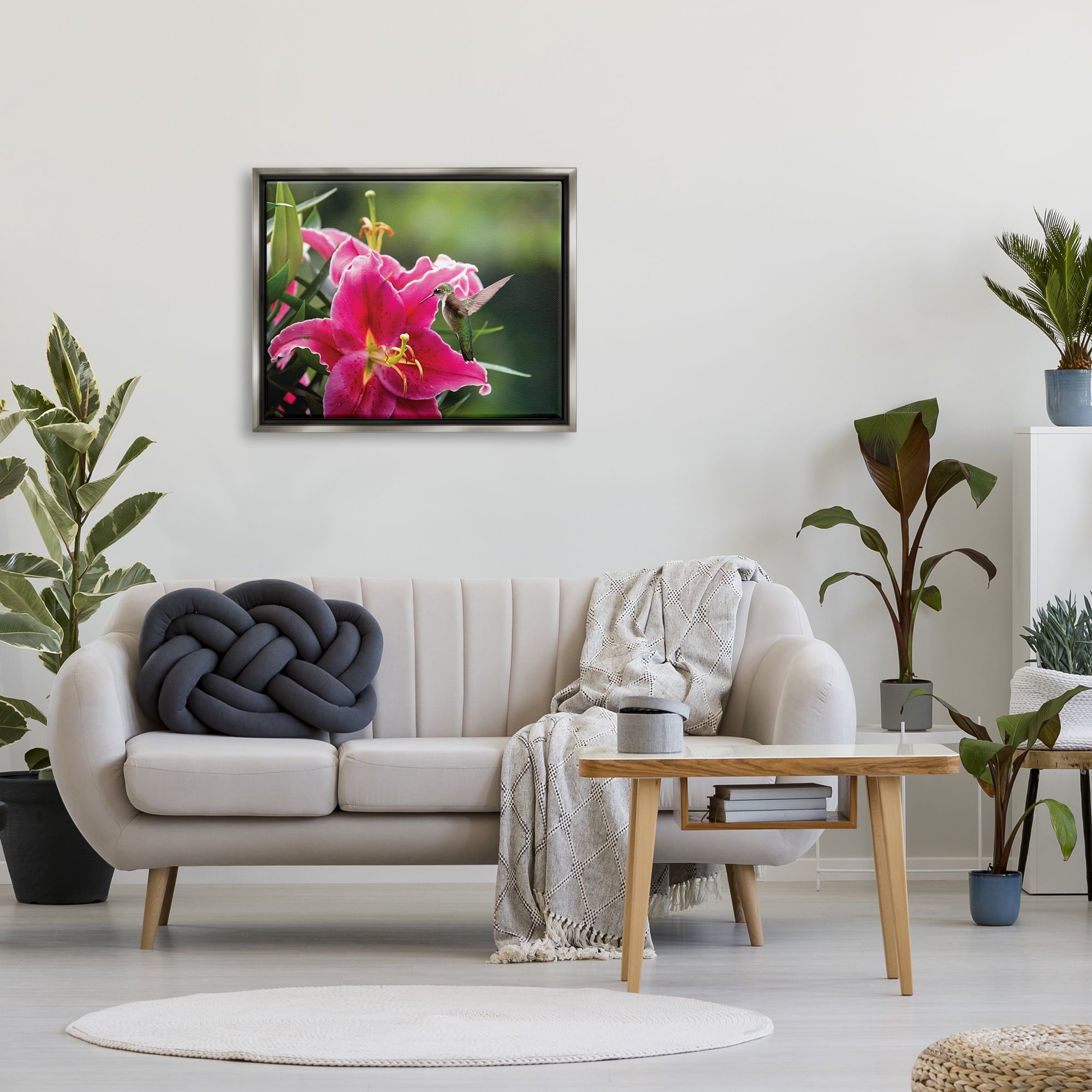 Stupell Industries Hummingbird with Hibiscus Animals & Insects Photography Gray Floater Framed Art Print Wall Art, 31 x 25
