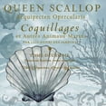 thumbnail image 3 of Medley, Elizabeth 15x15 Black Modern Framed Museum Art Print Titled - Under The Blue Sea I, 3 of 5
