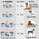 thumbnail image 2 of Tazón para Perro Loving Pets Murano Blue Extra Grande, 2 of 8