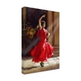 thumbnail image 4 of Trademark Fine Art The Macneil Studio Reflection Canvas Wall Art - 30x47, 4 of 4