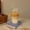 Clear A, variant on PTSPLLMY Cute Letter Korean Glass Water Bottle With Straw And Lid 480ml Simple Coffee Milk Juice Breakfast Glass Cups For Drinks Gift