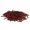 100Pcs Red, variant on Fishing Soft Lures, 100Pcs Lifelike Plastic Earthworm Worm Baits, 1.57 Inch Simulation Scented Fake Bloodworm Grub Lures for Trout, Freshwater Saltwater Fishing and Angling Activities