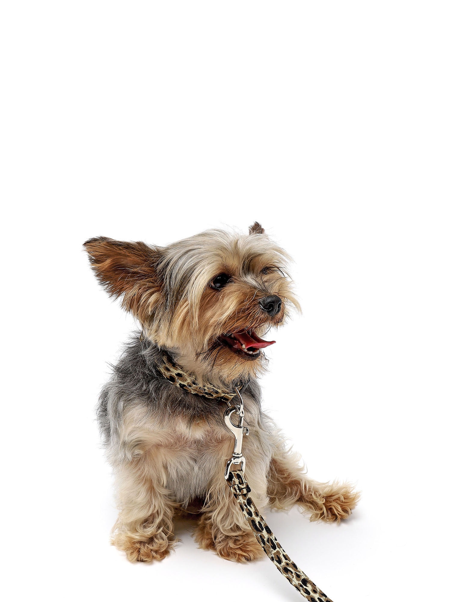 CANINI by Baguette Exotic Brown Leopard Leash