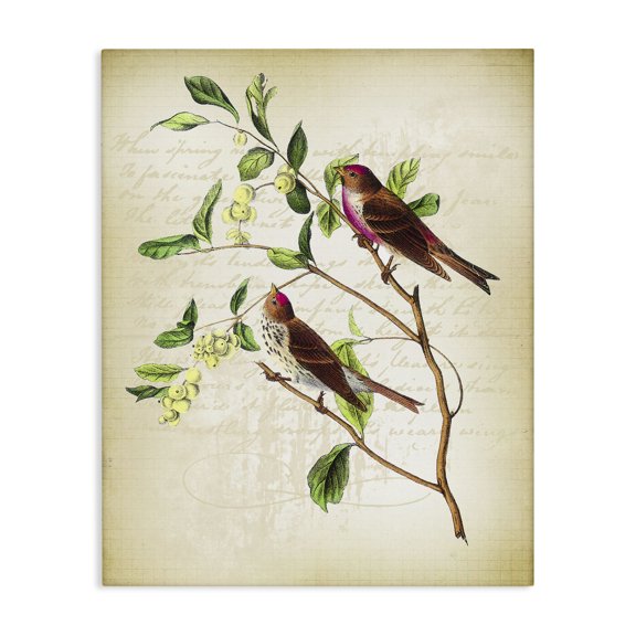 Stupell Industries Traditional Birds with Vintage Cursive Canvas Art, 16 x 20, by Lula Bijoux & co.