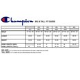 thumbnail image 4 of Champion Mens Big and Tall Pullover Hoodie Sweatshirt with Embroidered Script Logo, 4 of 6
