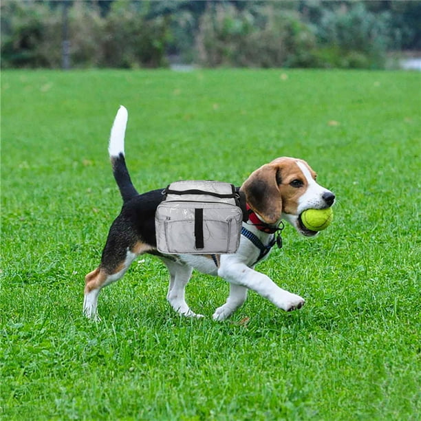 Mochila para perro ajustable con alforjas ideal para senderismo gris ACTIVE Biensenido a ACTIVE Walmart en linea
