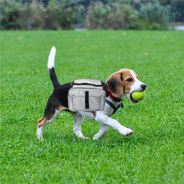 Sac à dos réglable pour chien avec sacoches, idéal pour la randonnée(gris) Kuyhfg Bienvenido a Kuyhfg