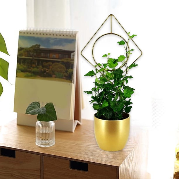 Estante de hierro para plantas trepadoras, para decoración del hogar, de pared, resistente a la oxidación, pequeño, para macetas de interior, redondo, de metal.