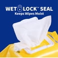 thumbnail image 4 of Toallitas para perros Wet Ones, 1200 unidades, desodorizantes, multiusos, tropicales, 4 of 8