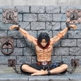 thumbnail image 4 of Figura de 22 cm de One Piece Portgas·D· Ace Team Prison Nombre Piratas de Barbablanca Capitán del segundo Anime Juguetes Regalos Modelo de escena, 4 of 4