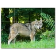 thumbnail image 1 of Picture-Tiles.com: Wolf Ceramic Tile Wall Mural WAL501240-43L. 32"W x 24"H using (12) 8" x 8" Ceramic Tiles-Satin Finish, 1 of 3