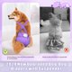 thumbnail image 2 of Pañales para perros Idepet lavables y reutilizables para mujer con tirante M, 2 of 6